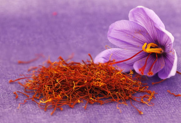 Fleur de safran et ses pistils. Adobestock