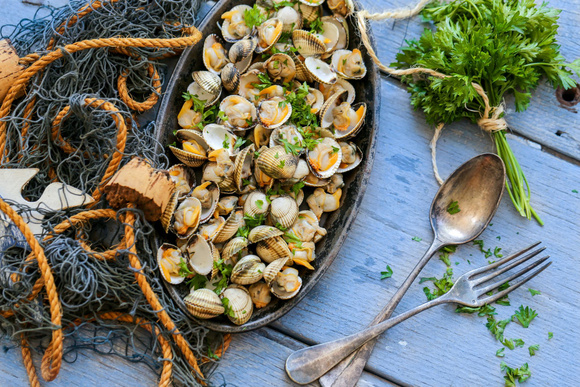 Saison des coques. Adobestock
