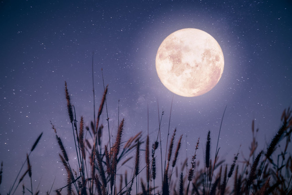 Comment fonctionne le régime spécial pleine lune ?