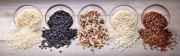 6 variétés de riz. Adobestock