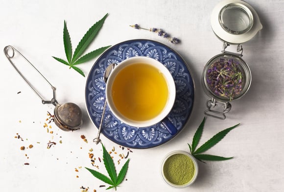 Une infusion au CBD contre la gueule de bois à tester d'urgence !