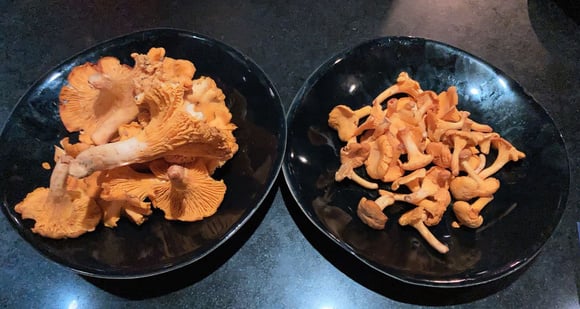 A gauche le pied est trop gros, à droite c'est parfait 