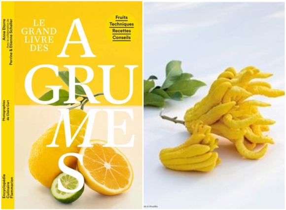 Quel livre de cuisine offrir cette année pour Noël ?
