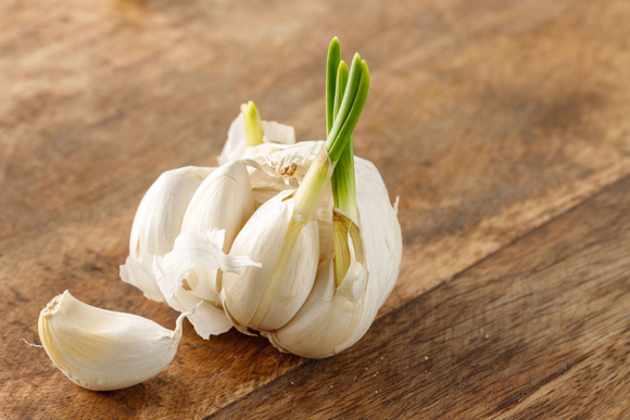 Peut-on manger de l’ail qui a germé ?