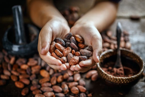 Un chocolat sans cacao et surtout éco responsable - Adobestock 