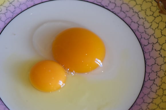 Bérengère_B