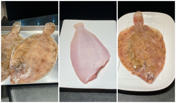 Limande sole de la famille des poissons plats 