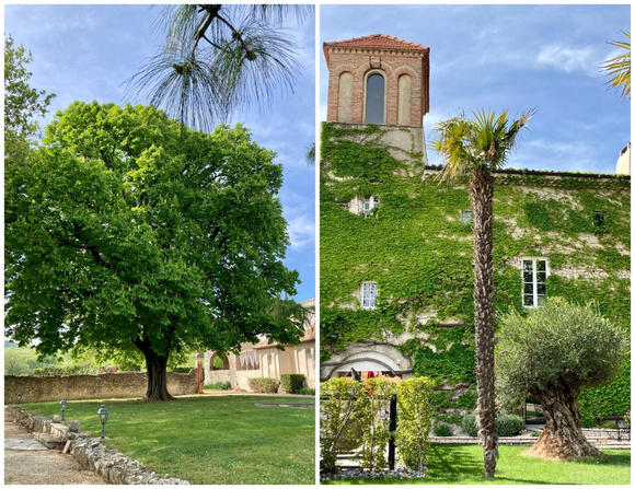 Sur la route des vacances : Découvrez le Domaine du Colombier et son restaurant étoilé dépaysant