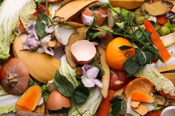 Épluchures, restes de repas, … cette nouvelle loi va vous obliger à les trier