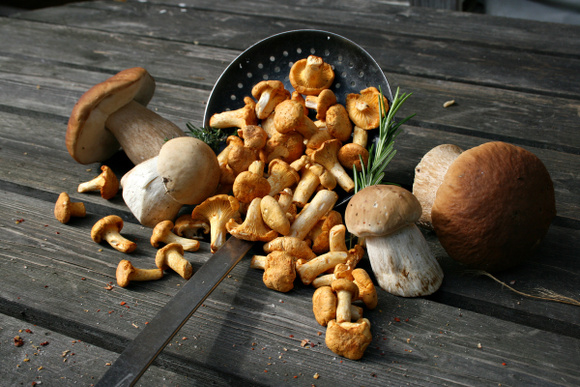 Champignons : la méthode infaillible pour bien les nettoyer sans les abîmer