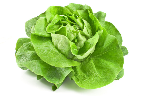 Comment conserver la salade ?