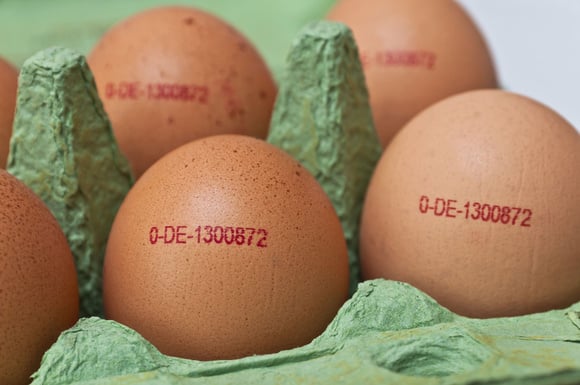 Les chiffres sont des catégories qui représentent les conditions de vie de la poule. Adobestock