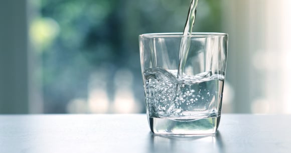 @ Adobe Stock/ La vérité derrière le mythe du poulpe et de l'eau 