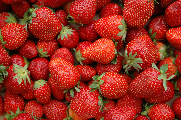 Ne jetez pas vos queues de fraises, c’est un trésor (surtout pour vos plantes)