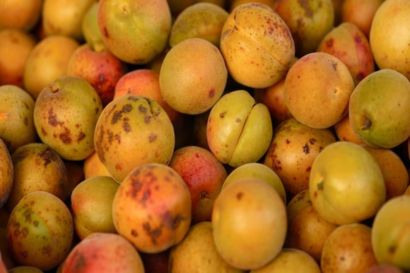 Couper la partie pourrie d’un fruit ou d’un légume pour le consommer quand même : “Je vous invite à arrêter” avertit ce médecin