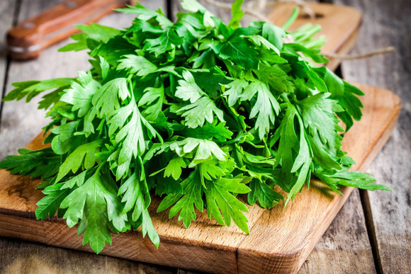 Persil plat ou persil frisé : attention, ces deux herbes aromatiques n’ont pas la même utilisation en cuisine !