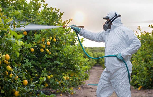 Pesticides : quels sont les risques pour la santé ? Adobestock