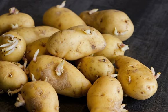 Oubliez le cellier ou le placard : cette méthode permet de retarder la germination des pommes de terre !