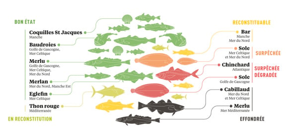 Populations classées selon leur état. Crédits : Ifremer