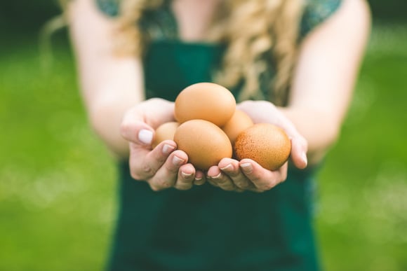 87% des gens font systématiquement ces erreurs avec les oeufs
