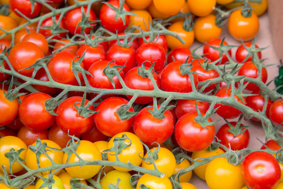 Salmonelle : des tomates cerises suspectées dans une épidémie internationale