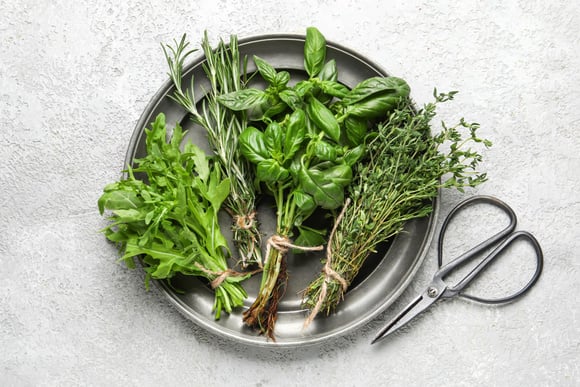 Quelles sont les herbes aromatiques qu’utilisent les italiens pour parfumer la sauce tomate ?