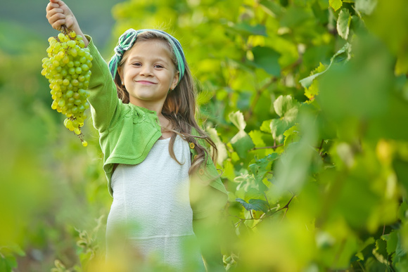 Raisin : un petit fruit, de grands bienfaits
