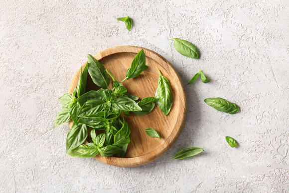 Basilic illimité : la technique pour en avoir tout l’été sans semis