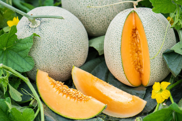 Melon entamé : combien de temps peut-on le conserver au frigo sans risque ?