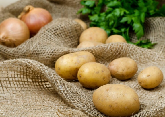 Quels sont les aliments réputés brûle graisse pour perdre du poids et comment les consommer sainement ?