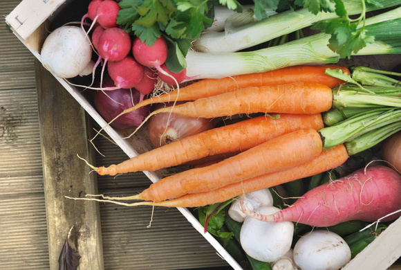 Ce légume est excellent pour la digestion et l’entretien du microbiote d’après ce gastro-entérologue