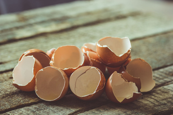 Voici pourquoi vous allez vouloir manger vos coquilles d’œufs !