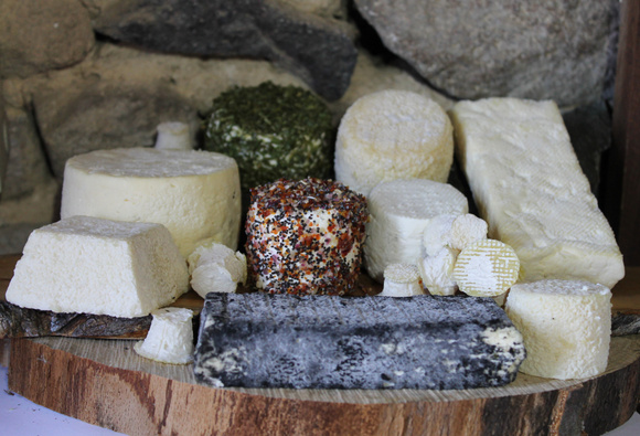 Les “Coups de pousse” de 750g : des nouvelles des projets soutenus