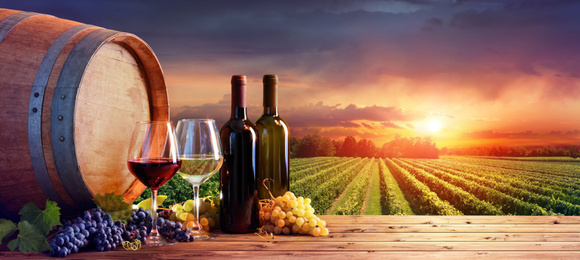 Black Friday : alerte bon plan, économisez 400€ sur cette cave à vin !
