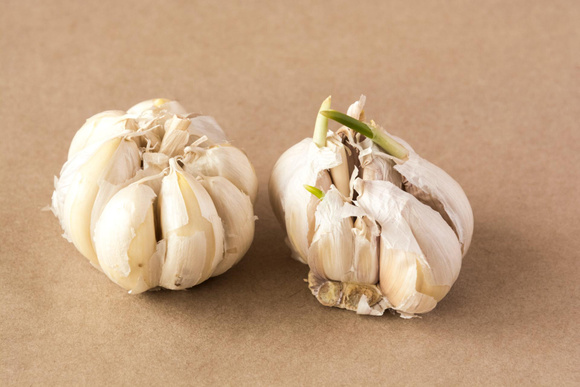 Gousse d’ail qui commence à germer : voici nos meilleures astuces pour la cuisiner !