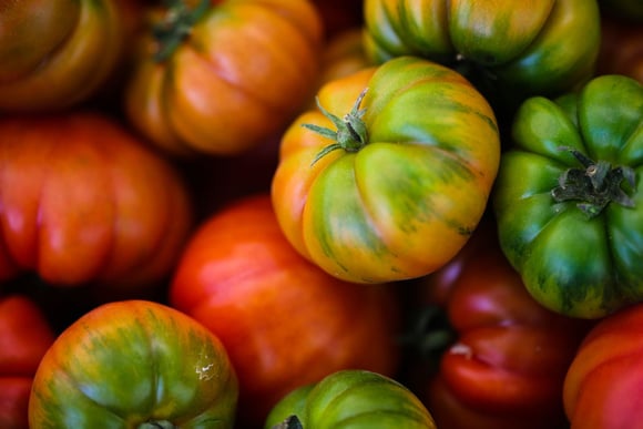 "Il existe des tomates qui poussent en hiver" : découvrez cette variété à déguster pour la saison !