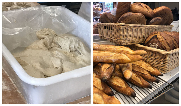 Levain naturel et pains 