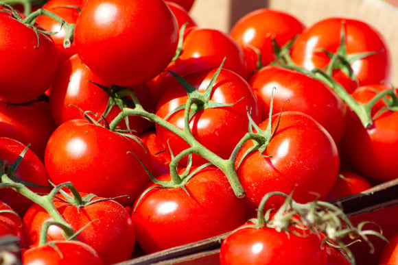 Rappel produit : des tomates vendues chez Auchan retirées du marché pour dépassement de pesticides
