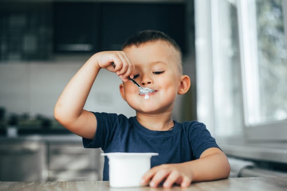 Petit-suisse ou Skyr : lequel de ces deux produits est le meilleur pour notre santé ?