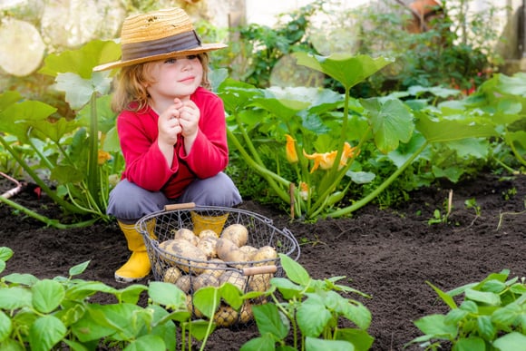 Idées pour expliquer l'origine des aliments aux enfants. Adobestock