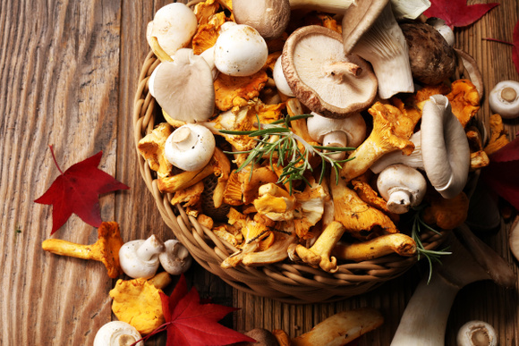 Vous mangez vos champignons crus ? Voici pourquoi il vaut mieux éviter