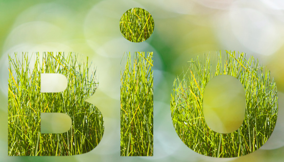 Labels Bio : est-ce qu'ils se valent tous ?