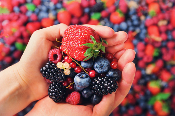 Les fruits rouges sont riches en antioxydants. Adobestock