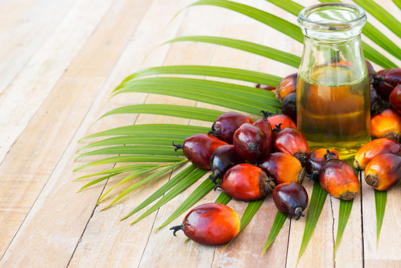 Pourquoi l'utilisation de l'huile de palme est-elle critiquée?