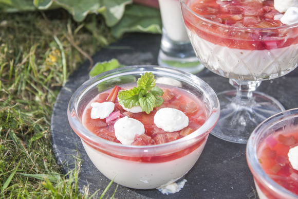 Panna cotta à la rhubarbe Adobe Stock
 