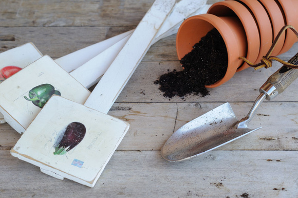 Quels semis planter en extérieur et sous abris en mai. Adobestock