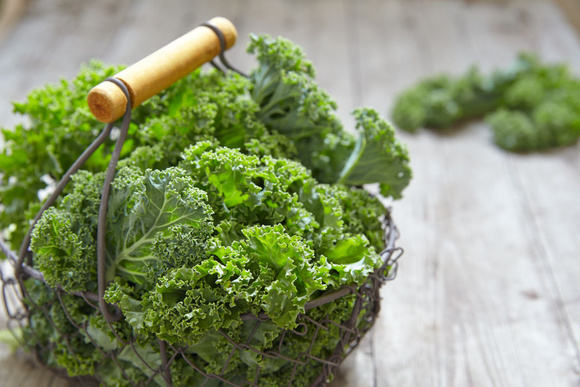 @ Adobe Stock/ Du chou kale 
