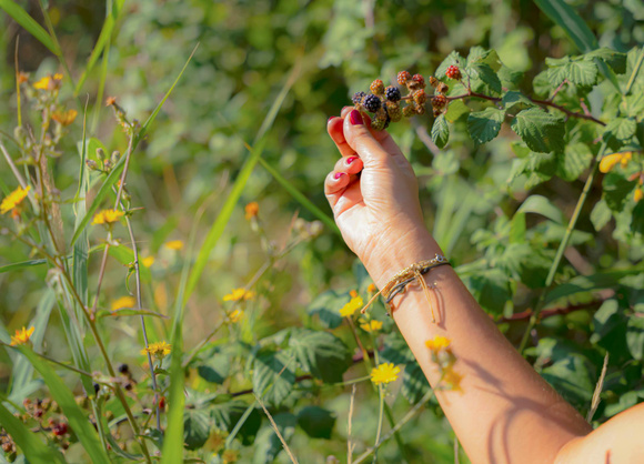 Cueillir des fraises ou des mûres sans prendre de risque : voici 3 conseils qui vous seront précieux !