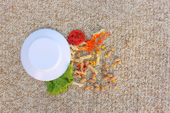 Les moquettes sont moins à risque que du carrelage, en ce qui concerne la contamination des aliments tombés. Adobestock