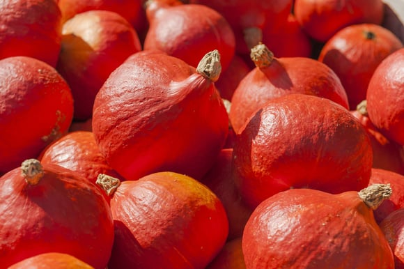Comment éplucher et cuisiner le potimarron ?